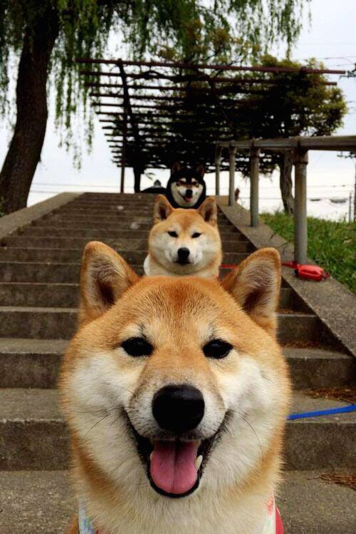 _勇士三分线外火力全开,场场爆发_,勇士三分战术