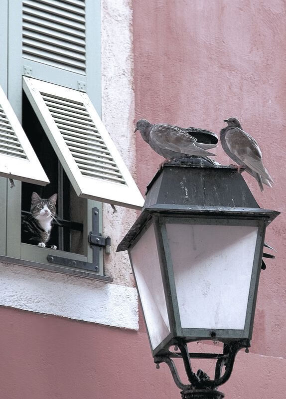 _怒火燎原:淘汰赛阶段爆冷不断,悬念迭起_,怒火燎原怎么获得