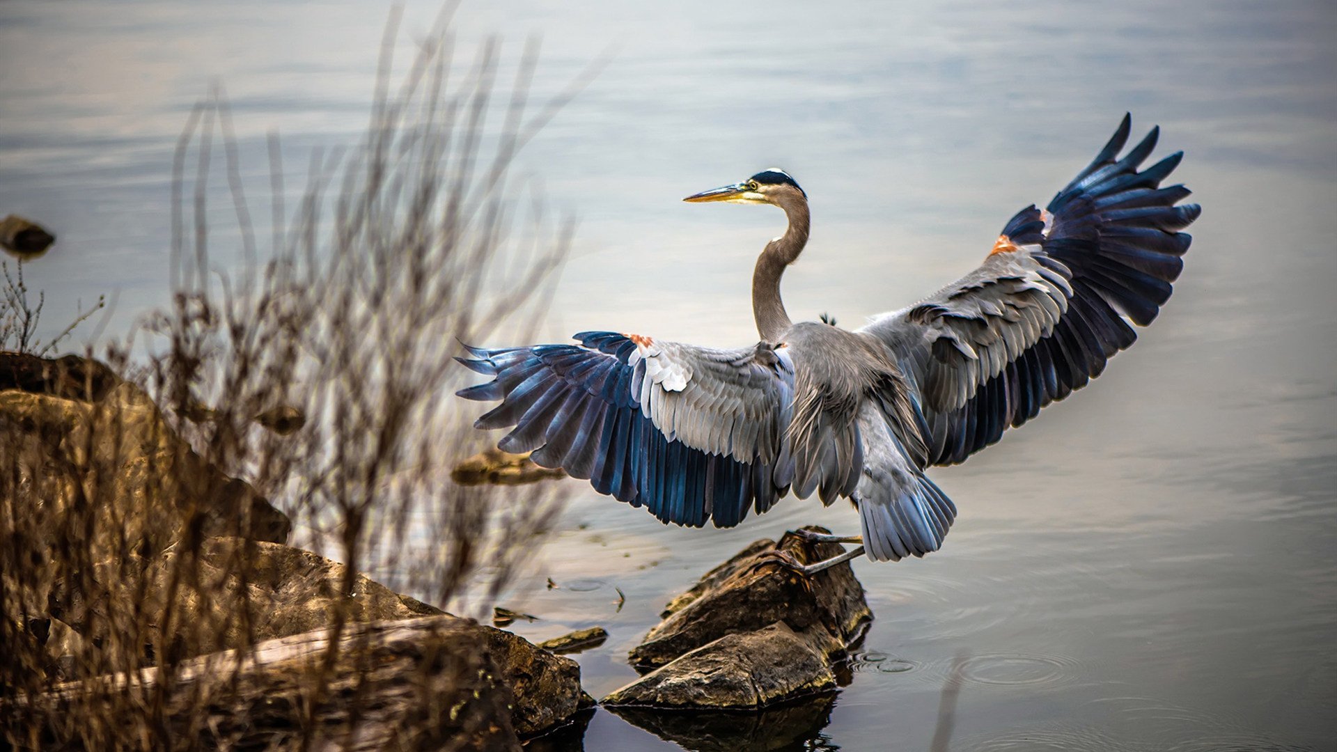 kaiyun app-“绿色低碳”足球场馆在全国推动，行业绿色转型展现新气象，绿色足球俱乐部