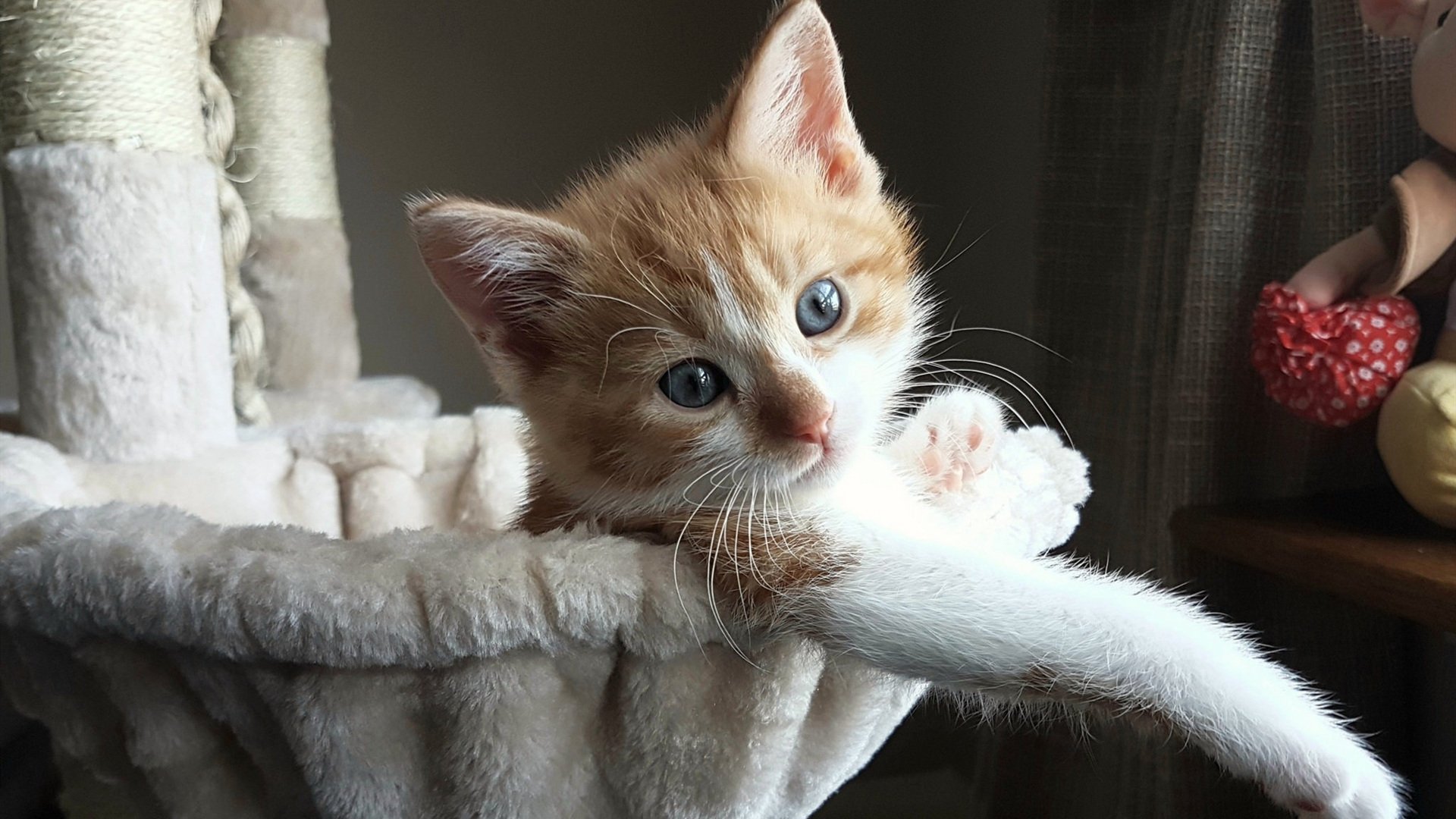 “西甲赛场风云突变,逆势而上的队伍表现亮眼”,西甲出场