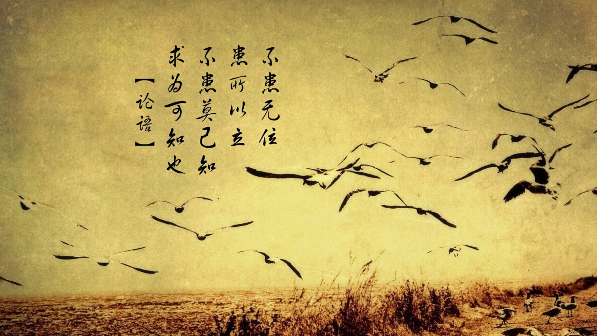 “西甲豪门临门一脚难破险局，比赛悬念持续”，西甲豪门七大豪门