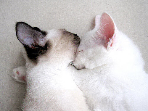 《Valorant爆冷在望，年轻战队逆袭夺冠！》，valorant比赛