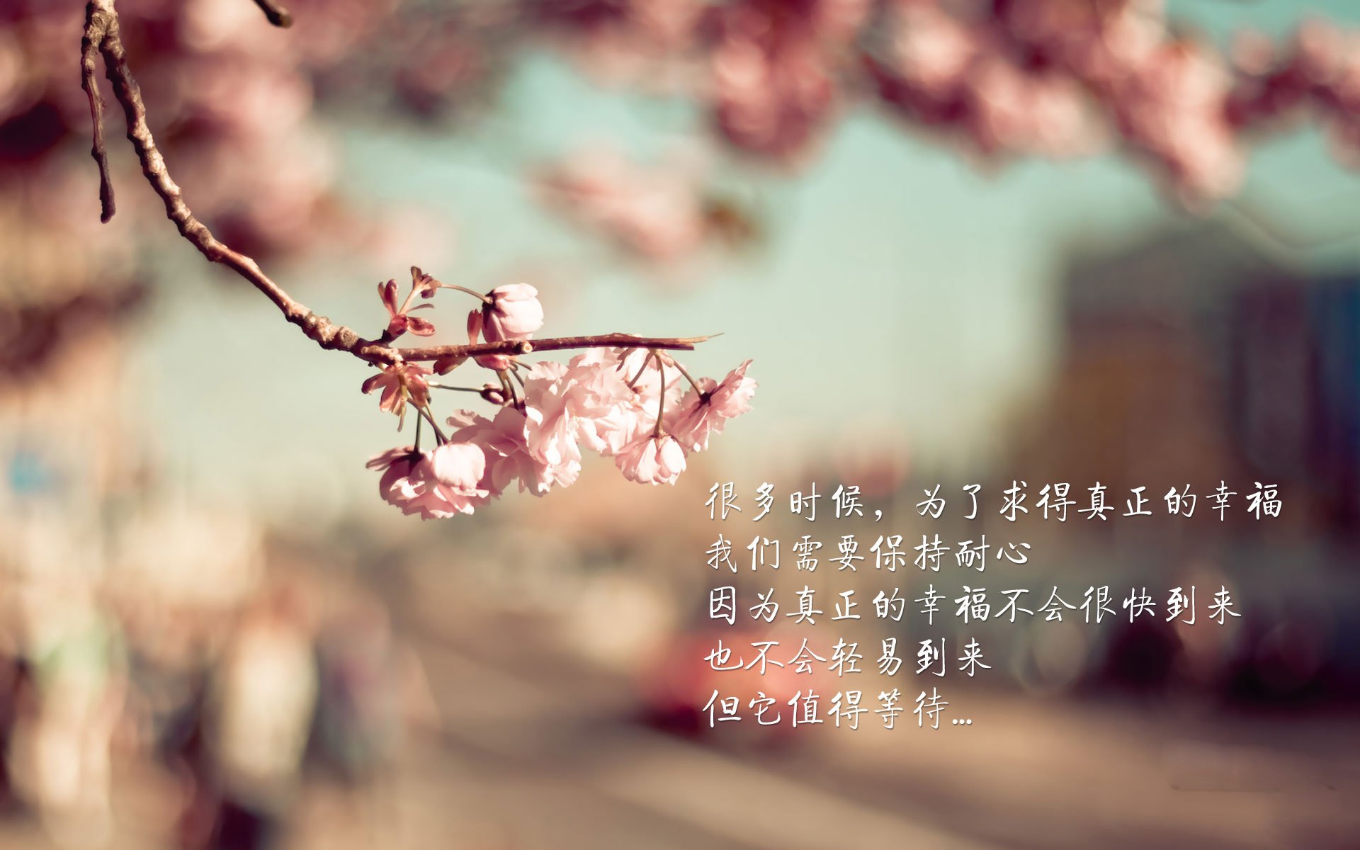 城市赛道的设计与特色,城市赛道的设计与特色是什么