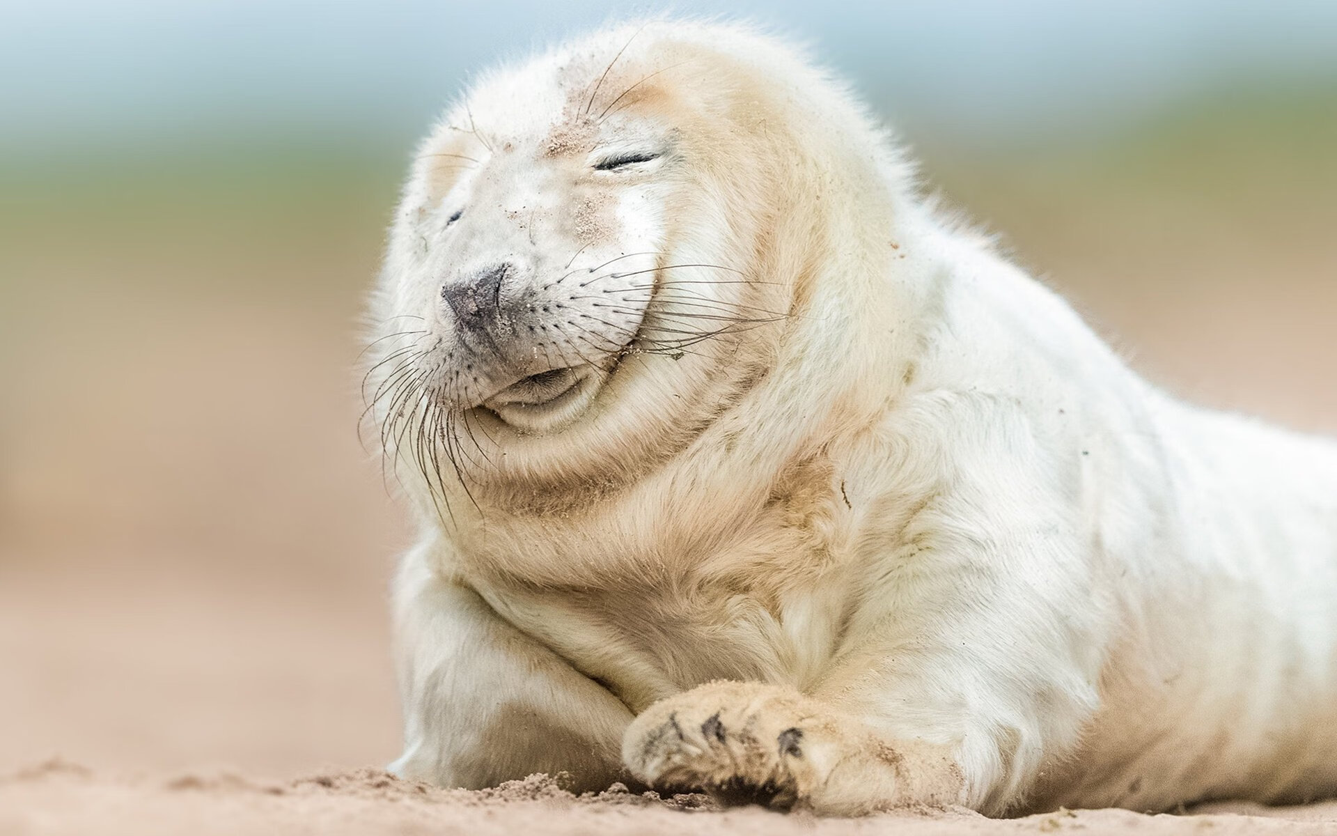 日本男足全场高能，打出高水平！，日本男足阵型