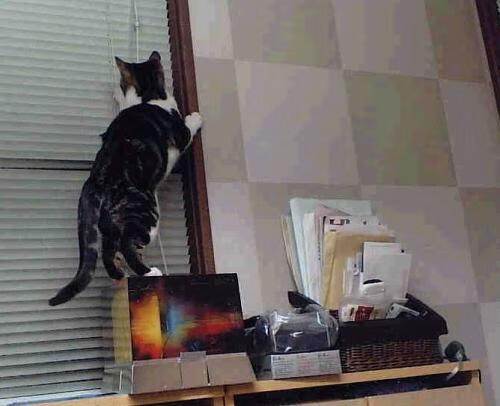 科比训练日常：硬汉精神塑造出“完美”球员的秘密，科比的训练时间及内容