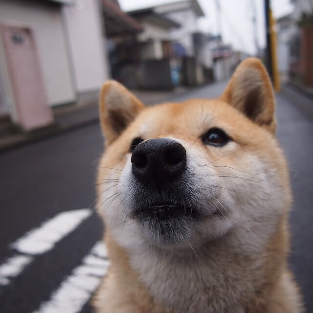 AC米兰客场-战平国际米兰,双方互交白卷战局僵持,ac米兰对战国际米兰