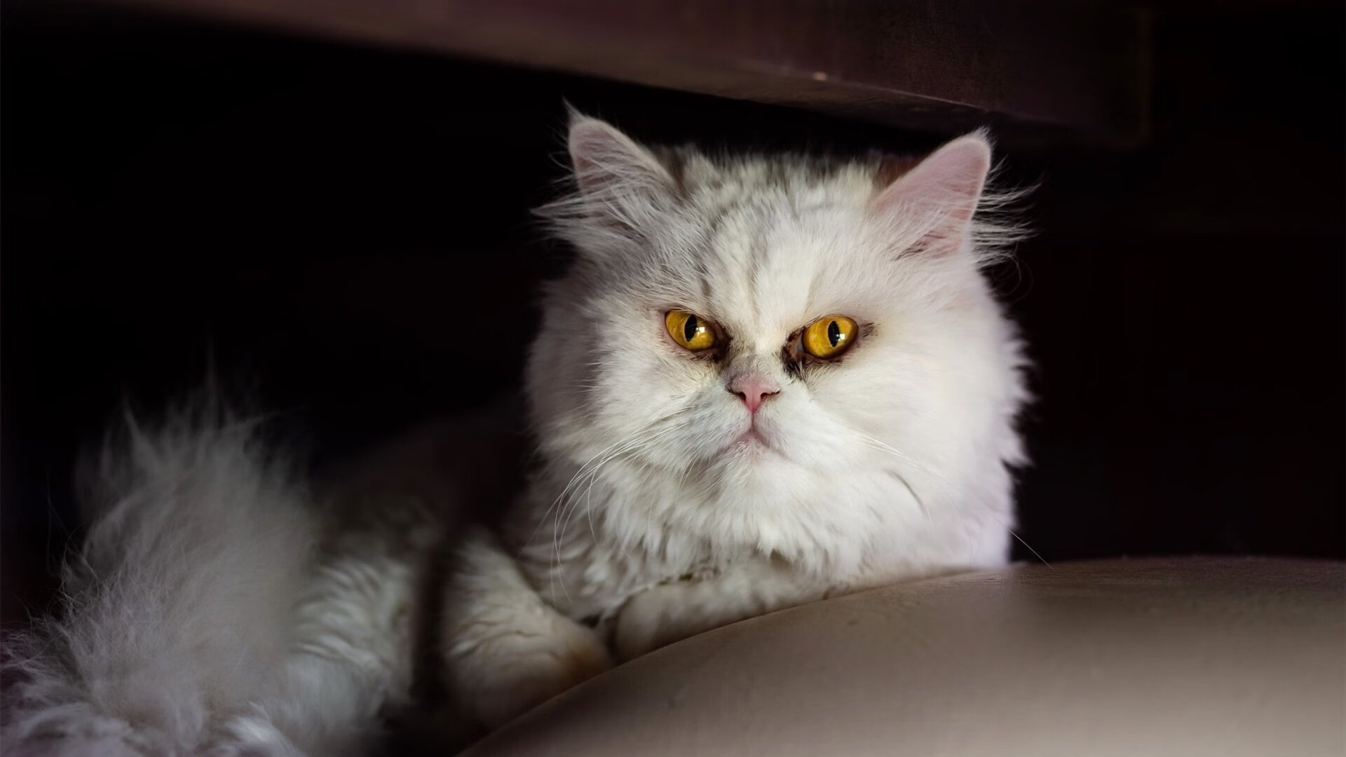 尼姆客场不敌对手,遗憾失去领先优势,尼姆是谁