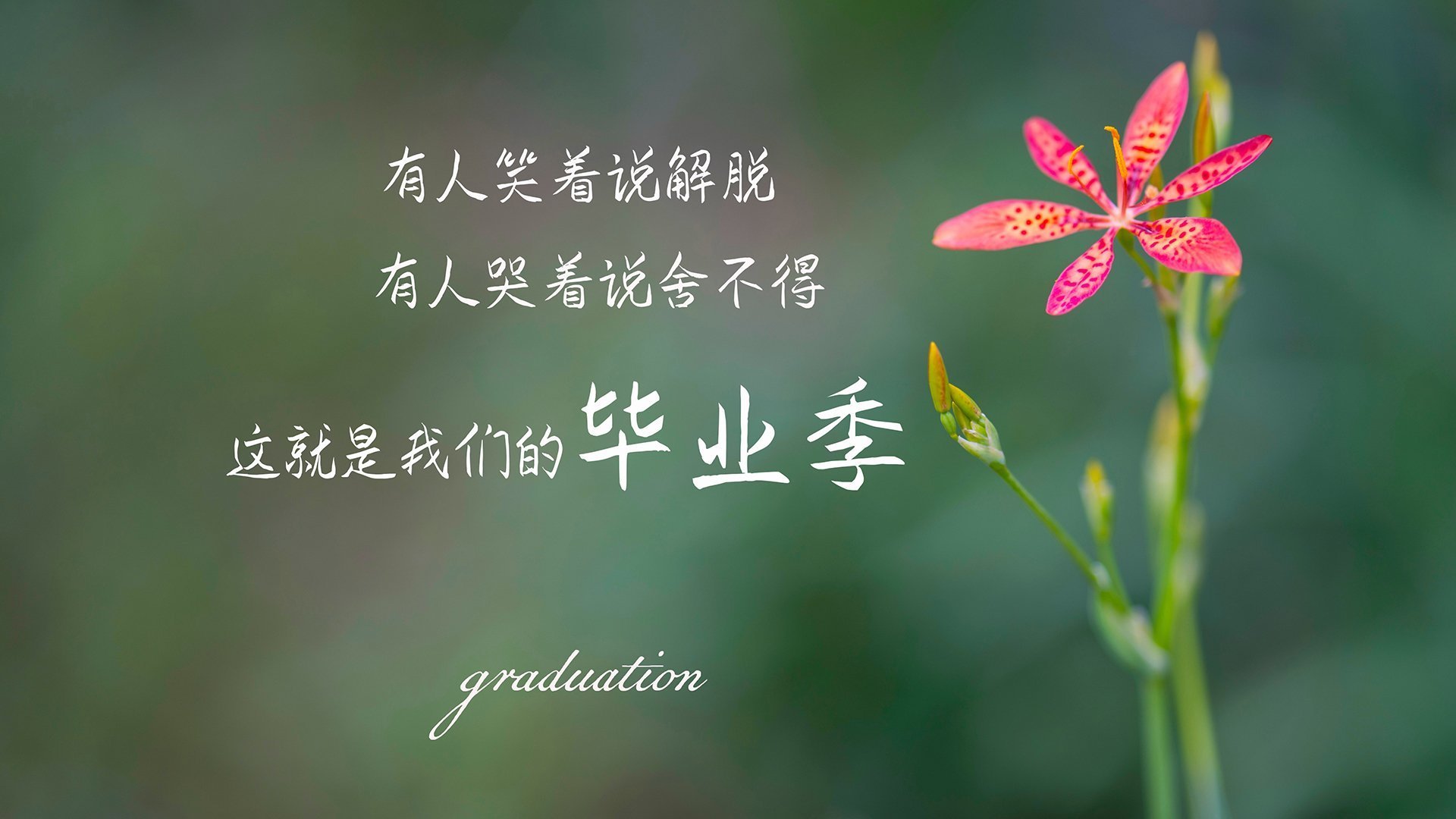 亚冠联赛中国女足逆袭 技术分析展现成长，中国女足亚冠冠军